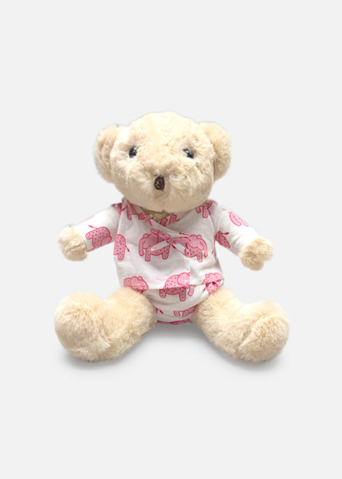 Cute Sitting Bear Teddy
